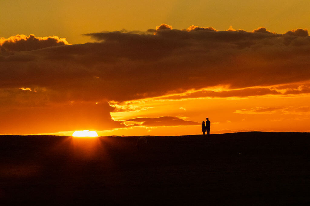 Curragh Co Kildare at sunset
