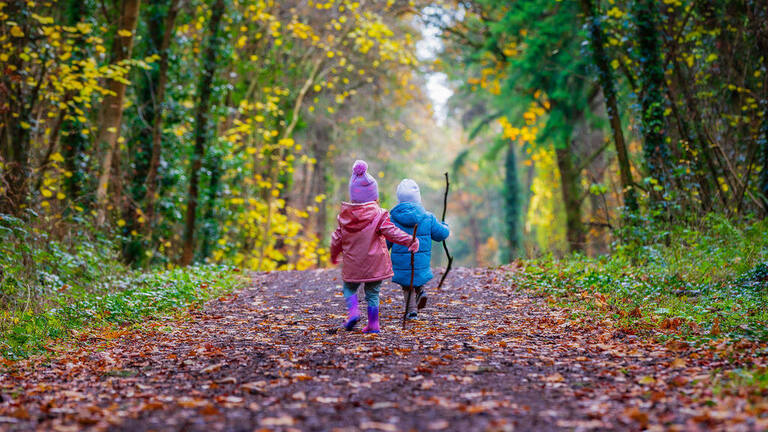 boy and girl toddler walking in an autumn wood in Ireland 